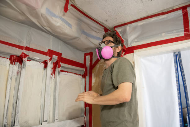 Best Attic Mold Removal  in Santa Fe, NM