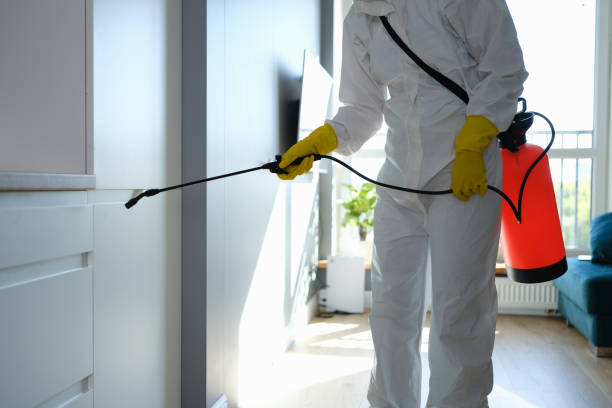 Reliable Santa Fe, NM Mold Removal Solutions