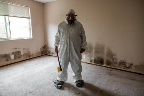 Best Emergency Mold Remediation  in Santa Fe, NM